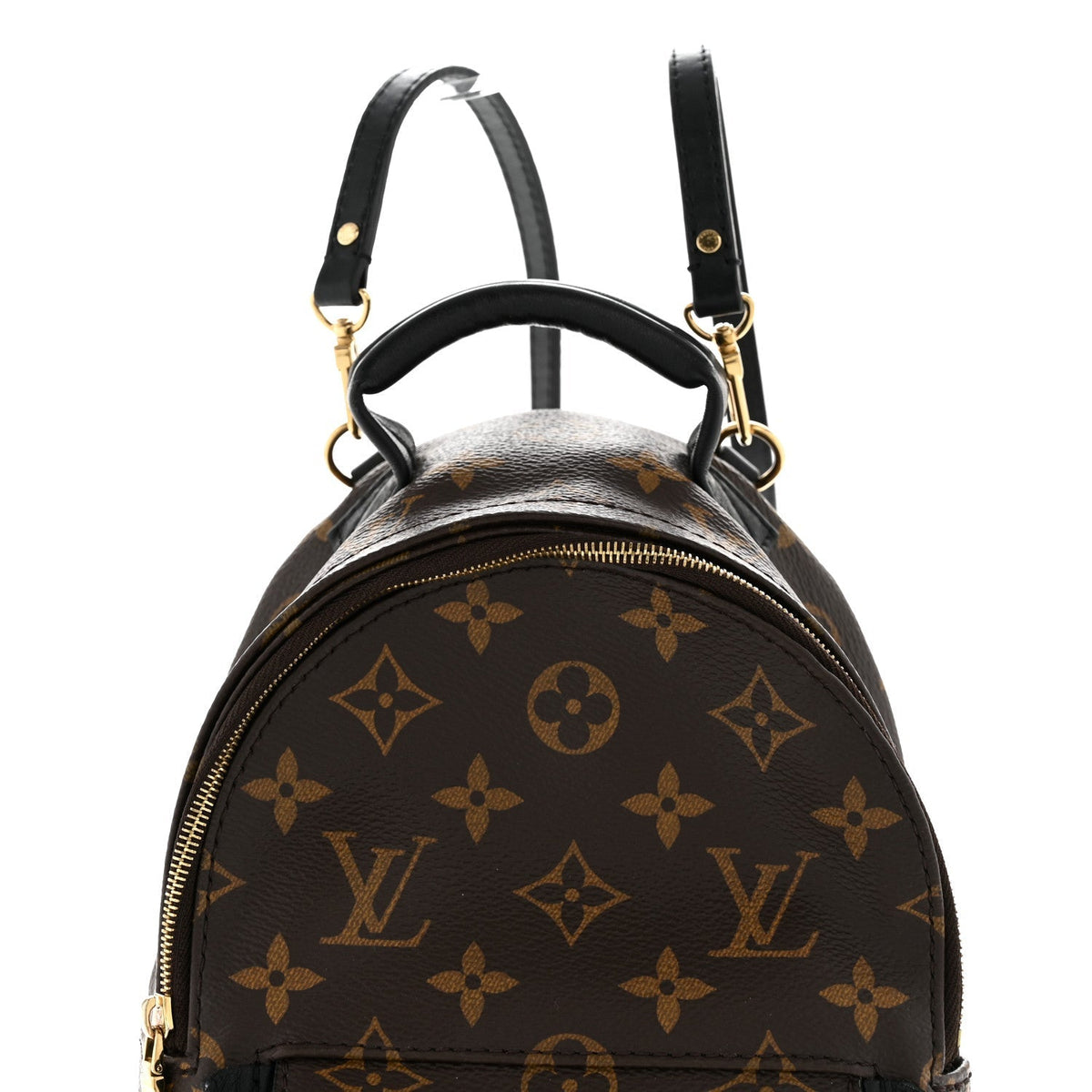 Monogram Palm Springs Backpack Mini