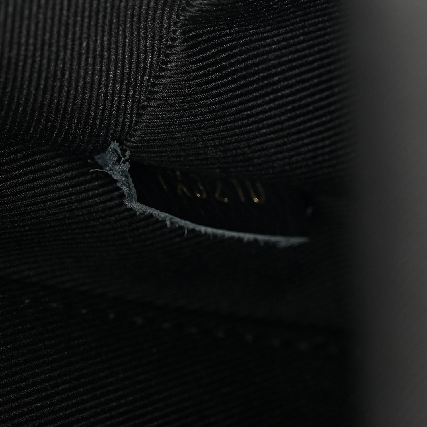 Reverse Monogram Palm Springs Backpack Mini