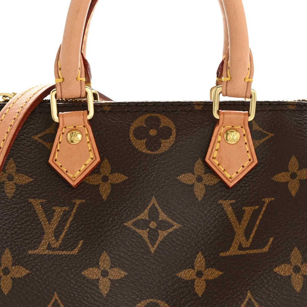 Monogram Nano Speedy