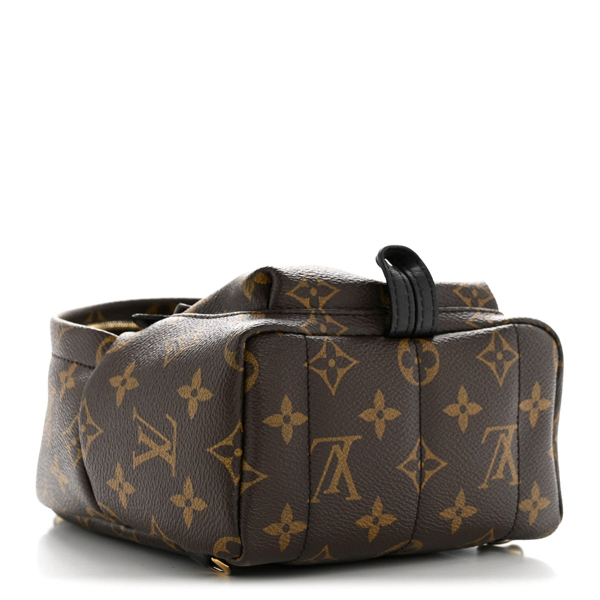 Monogram Palm Springs Backpack Mini
