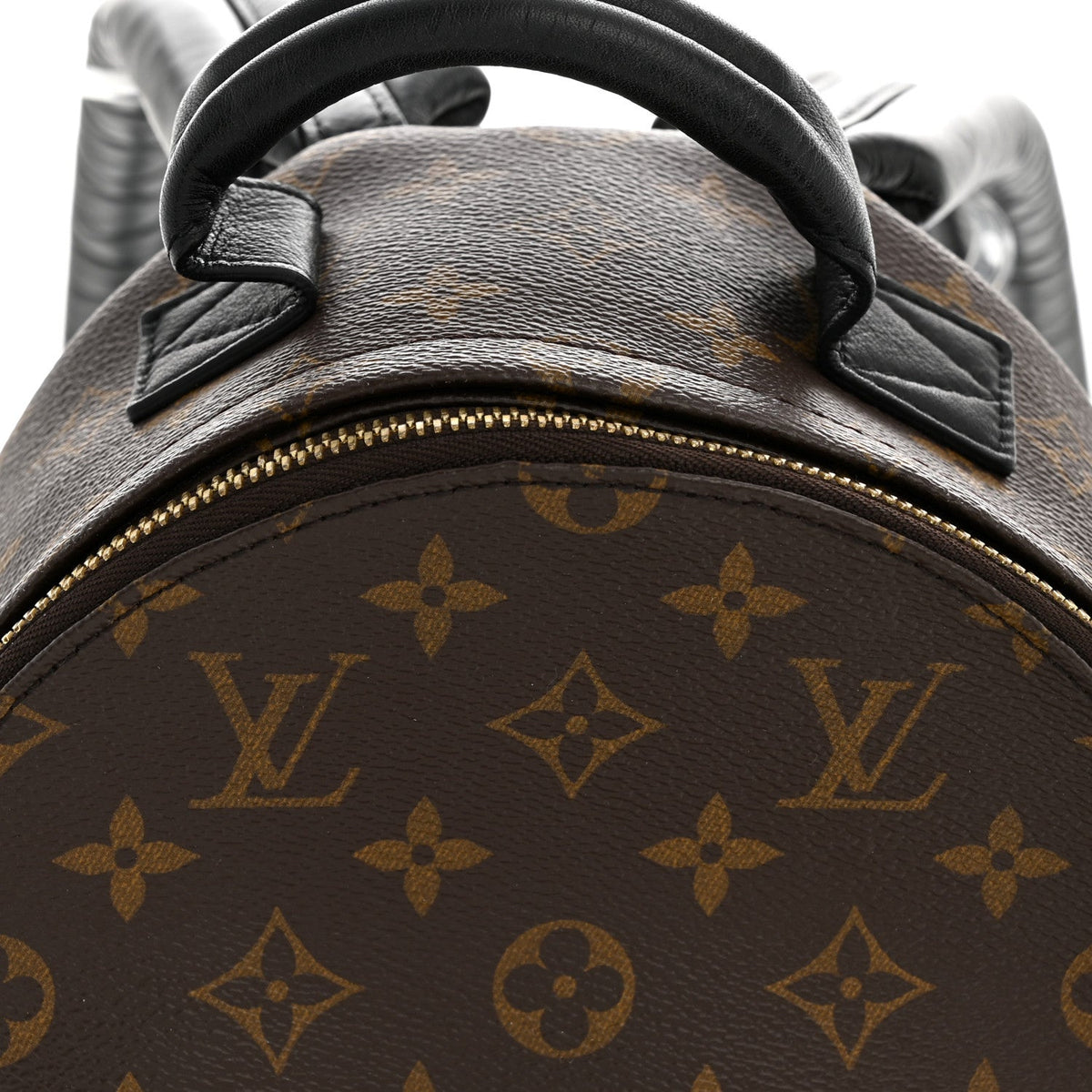 Monogram Palm Springs Backpack PM